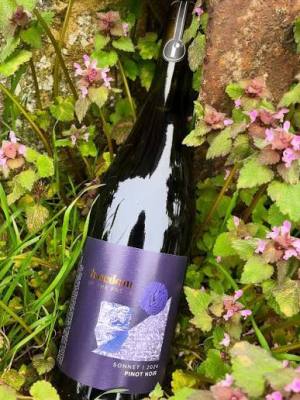 Freedom of the Press Pinot Noir Sonnet