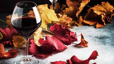 Wines of Autumn Tasting Chippy Wines of Autumn Tasting Chippy